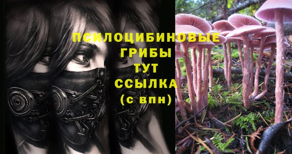 Альфа ПВП Верхнеуральск