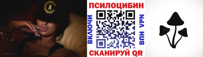 Галлюциногенные грибы Cubensis  дарнет шоп  Гудермес 